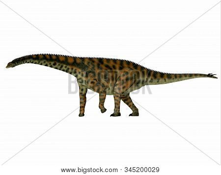 Spinophorosaurus Dinosaur Side Profile 3d Illustration - Spinophorosaurus Was A Herbivorous Sauropod