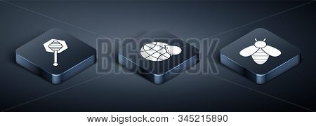 Set Isometric Honey Dipper Stick, Bee And Honeycomb Map Of The World Icon. Vector