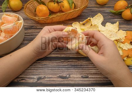 The Girls Hands Are Cleaning Tangerine, Tangerines On A Twig With Green Leaves, Peeled Tangerines In