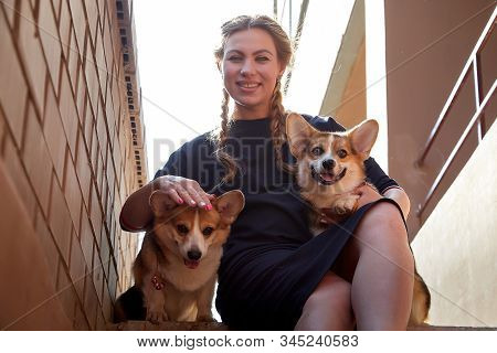 Pretty Funny Girl With Small Nice Dog Big Wall Of City House In A Sunny Day