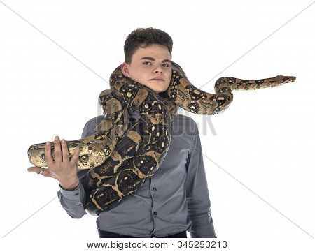 Boa Imperator And Teen In Front Of White Background