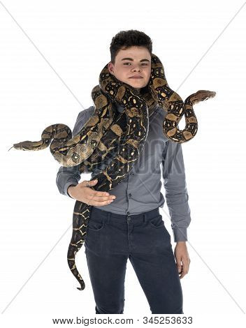 Boa Imperator And Teen In Front Of White Background