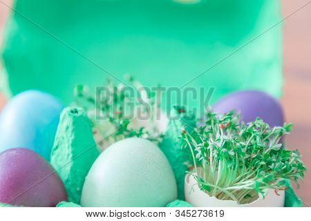 Decorative Handmade Easter Egg Present Box With Eggs And Cress. Beautiful Decoration Easternest Bask