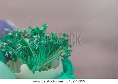 Decorative Handmade Easter Egg Present Box With Eggs And Cress. Beautiful Decoration Easternest Bask