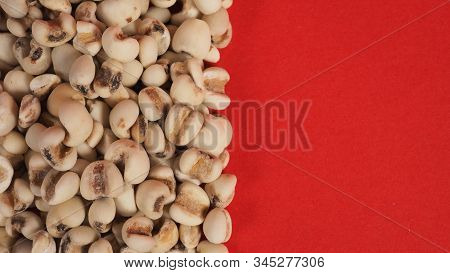 Job's Tears, Also Known As Adlay And Coix On Red Background. Popular In Asian Cultures As A Food Sou