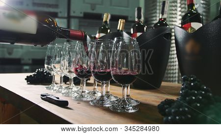 Pouring Wine Into Wineglasses For Degustation. Sommelier Pouring Red Wine In Clear Crystal Glasses F