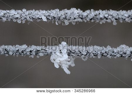 Hoarfrost On The Ropes In Winter Closeup. Shallow Depth Of Field
