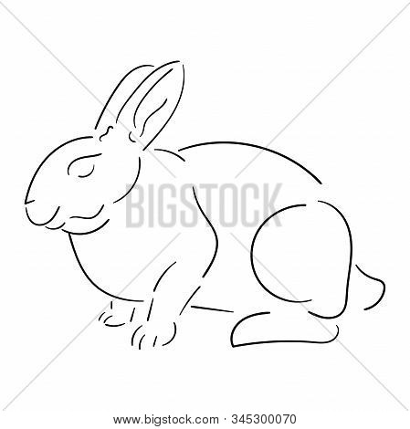 Line Rabbit Black Outline Isolated On White Background, Rabbit Vector Stock Vector For Design And De