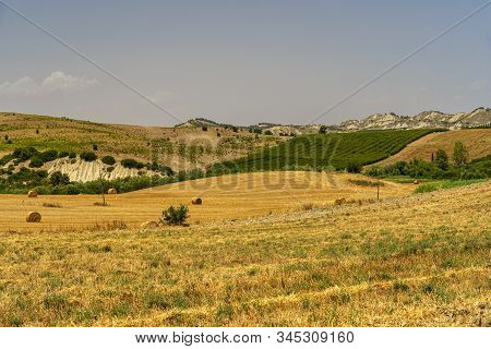 Rural Landscape Near Montalbano Jonico, Matera, Basilicata, Italy, At Summer.