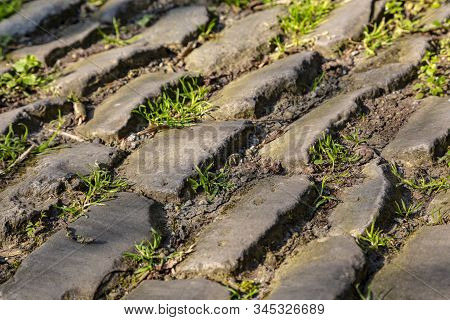 Detail Of The Famous Cobblestone Road Muur Van Geraardsbergen Located In Belgium. On This Road Every