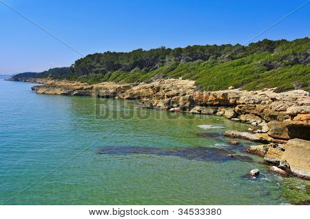 en visning af forskellige bugter i Bosc de la Marquesa, Tarragona, Spanien