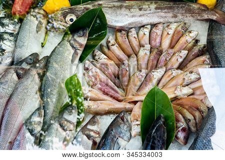 Sea Bass And Bream Fresh Fish At The Market
