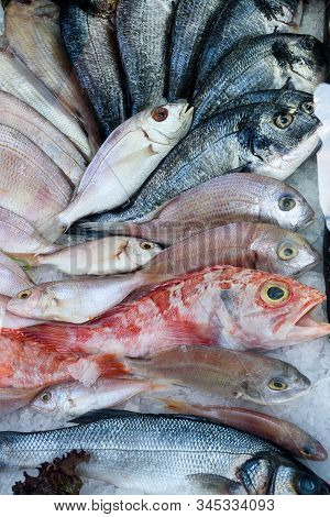Sea Bass And Bream Fresh Fish At The Market