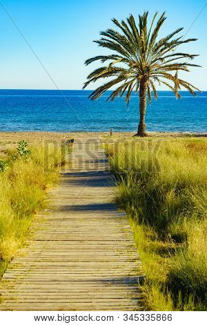 Percheles Beach, Murcia Region Spain. Mazarron Bay. Coastal Landscape With Palm Trees And Wooden Pat