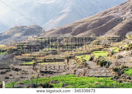 Beautiful Terraced Fields In High Atlas Mountains In Morocco
