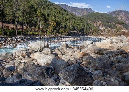A Small Brooke Flowing Through The Valleys Of Himalayan Mountain With Big Rocks, Pebbles And Tall Pi