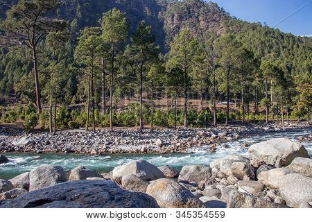 A Small Brooke Flowing Through The Valleys Of Himalayan Mountain With Big Rocks, Pebbles And Tall Pi