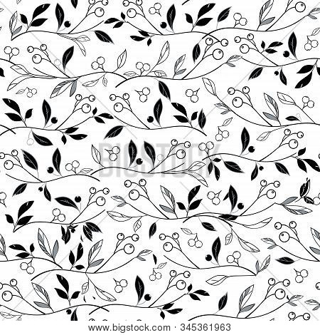 Vector Black And White Leafs And Berries Seamless Background Ornament Texture.