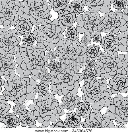 Vector Grey Succulent Seamless Pattern Print Background.