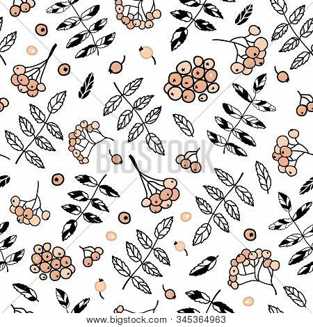Vector White Black And Orange Ash Berries And Leafs Texture Background Seamless Pattern Print