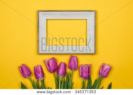 Pink Tulips And A White Empty Frame On Colour Background