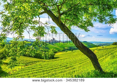 Langhe Vineyards Sunset Panorama, Serralunga D Alba, Unesco Site, Piedmont, Northern Italy Europe.
