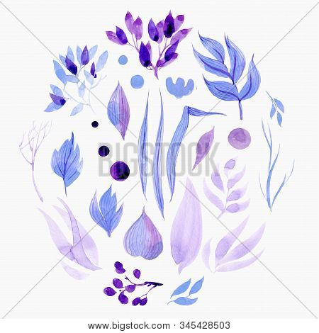 A Set Of Objects For Design. Blue And Lilac Leaves Of Flowers And Shrubs In A Circle On A White Back