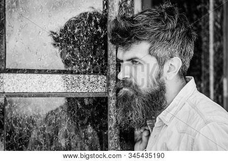 Beard Grooming. Beard Care. Masculinity And Manliness. Man Attractive Bearded Hipster Posing Outdoor