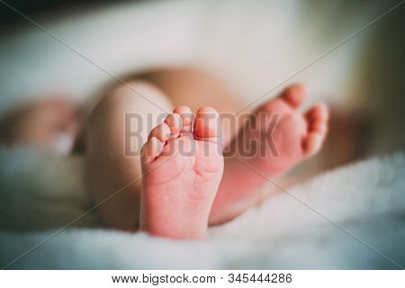 Newborn Baby Feet On Female Hands, Shape Like A Lovely Heart