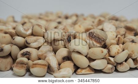 Job's Tears, Also Known As Adlay And Coix On White Background. Popular In Asian Cultures As A Food S