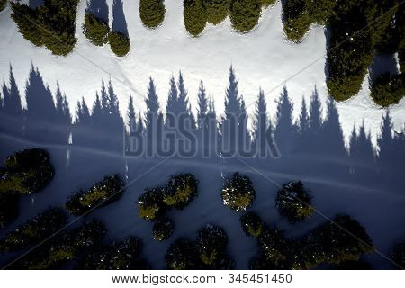 Shadow Of Pine Trees Aerial View. Winter Landscape.