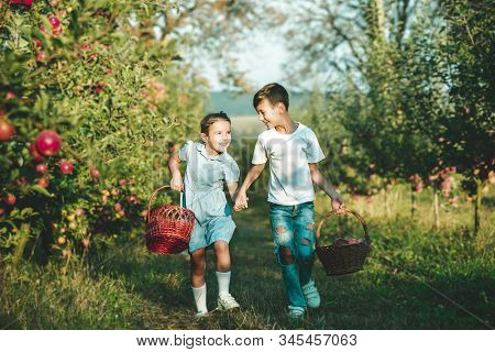 Photo Of Little Sister And Brother Gathering Apples For Apple Pie, On Sunny Autumn Weekend.