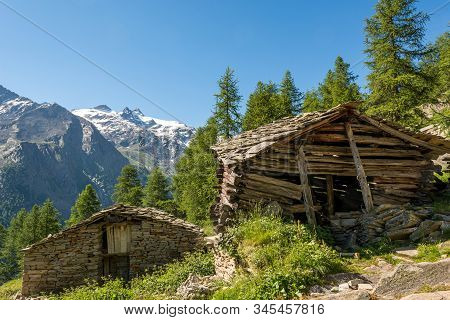 Ruins Of Old Wooden Cabin Slowly Crumbling.