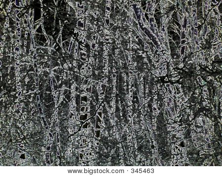 Abstrakt skov