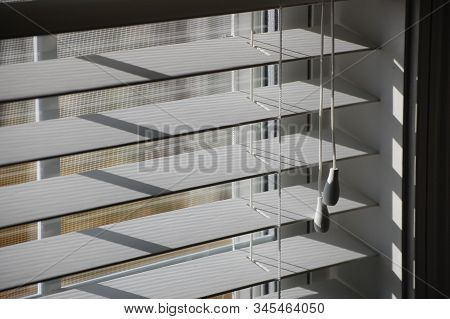 Faux Wood White Window Blinds Sun Shining Through