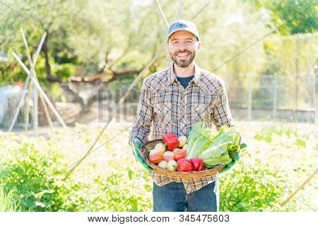 Smiling Farmer With Homegrown Vegetables In Basket Standing At Farm On Sunny Day