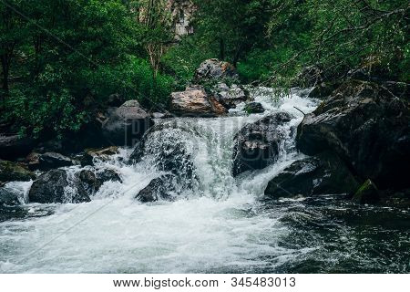 Atmospheric Green Forest Landscape With Mountain Creek. Beautiful Mystery Taiga With Wild River. Viv