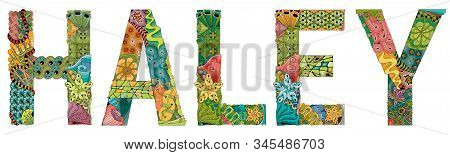 Female Name Haley. Vector Decorative Zentangle Object