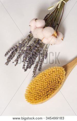 Dry Brushing Body Brush With Natural Cactus Bristles For Effective Dry Anti-cellulite Massage And Bo