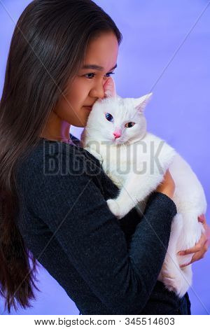 A Cat With A Different Eye Color, A Girl With Glasses Holds A White Cat, Bright Colours