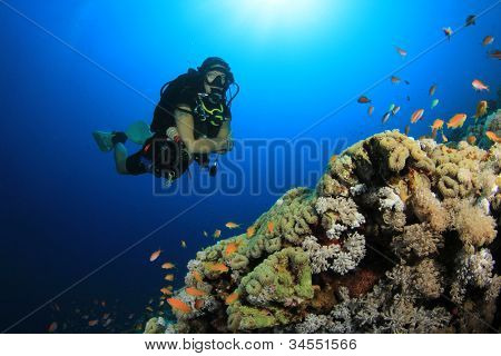Scuba Diving