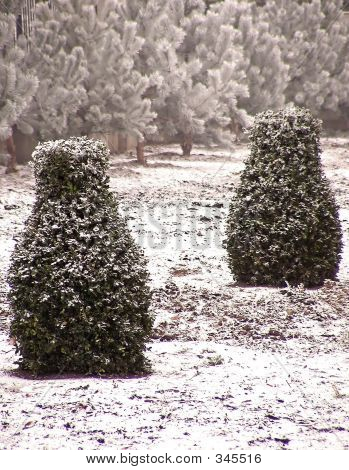 Vinter Scene