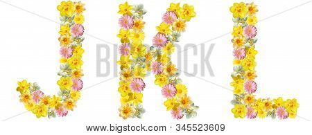 Letters Of Flowers. J, K, L. Yellow, White And Pink Flowers: Daffodils, Gerberas, Daisies. Bright Cr