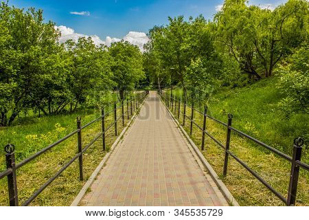 Early Autumn Golden Season Park Outdoor Golden And Green Natural Environment With Narrow Paved Road 