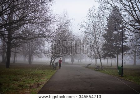 Scenic View Of A Path Through The Beautiful Public Park Of Izvor In A Foggy Winter Morning. Izvor Pa