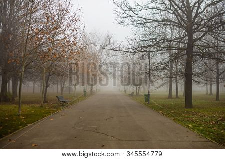 Scenic View Of A Path Through The Beautiful Public Park Of Izvor In A Foggy Winter Morning. Izvor Pa