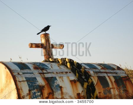 Blackbird