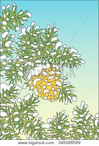 Cone Hanging On A Snow-covered Green Prickly Fir-tree Branch On A Cold Winter Day, Vector Cartoon Il