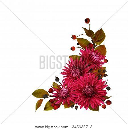 Purple Chrysanthemum Flowers And Autumn Leaves And Berries In A Corner Arrangement Isolated On White