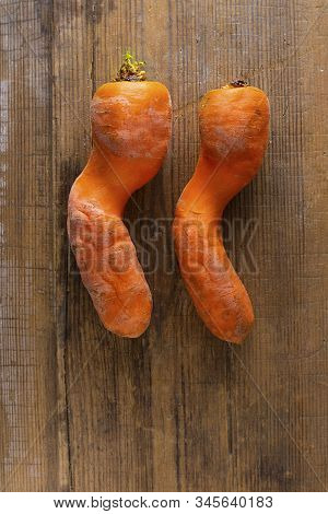 Two Ugly Curved Carrots With Pieces Of Soil On Brown Old Wooden Background With Copy Soace. Vegetabl